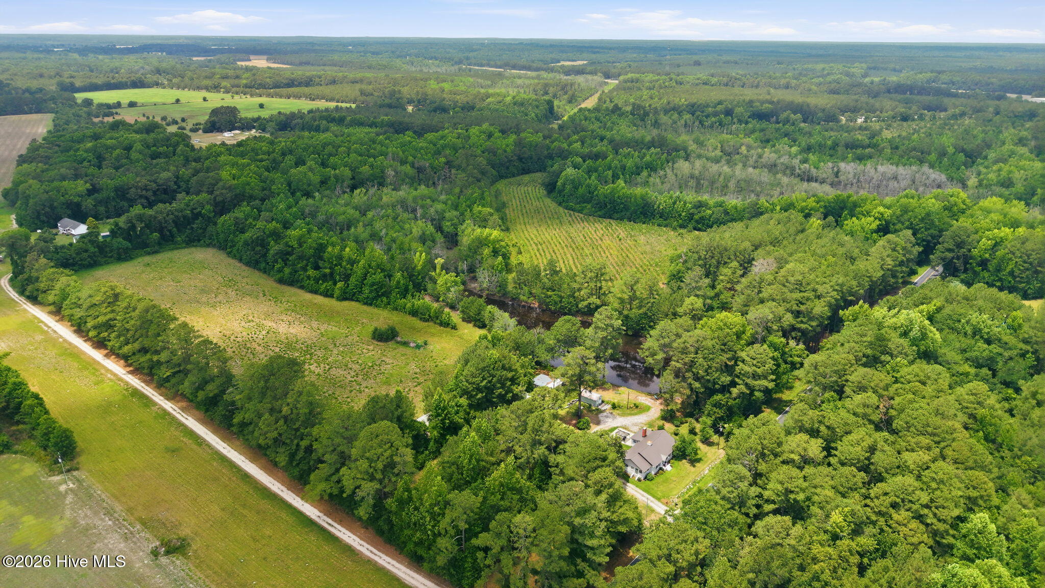 17060 St Johns Church Road Laurel Hill, NC 28351 - Photo 62 of 62