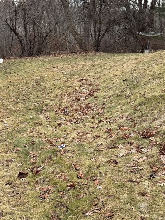 99 Clover Street Worcester, MA 01603 - Photo 5 of 8