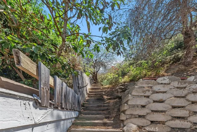 a view of a yard with plants and large trees