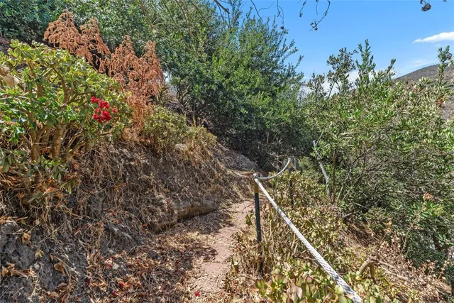 a view of a city with lush green forest