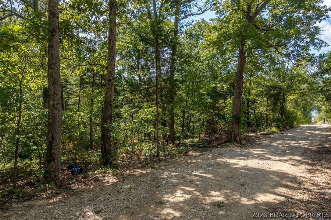 Tbd Tbd Oak Cove Road Stover, MO 65078 - Photo 3 of 21 Gallery Image 3