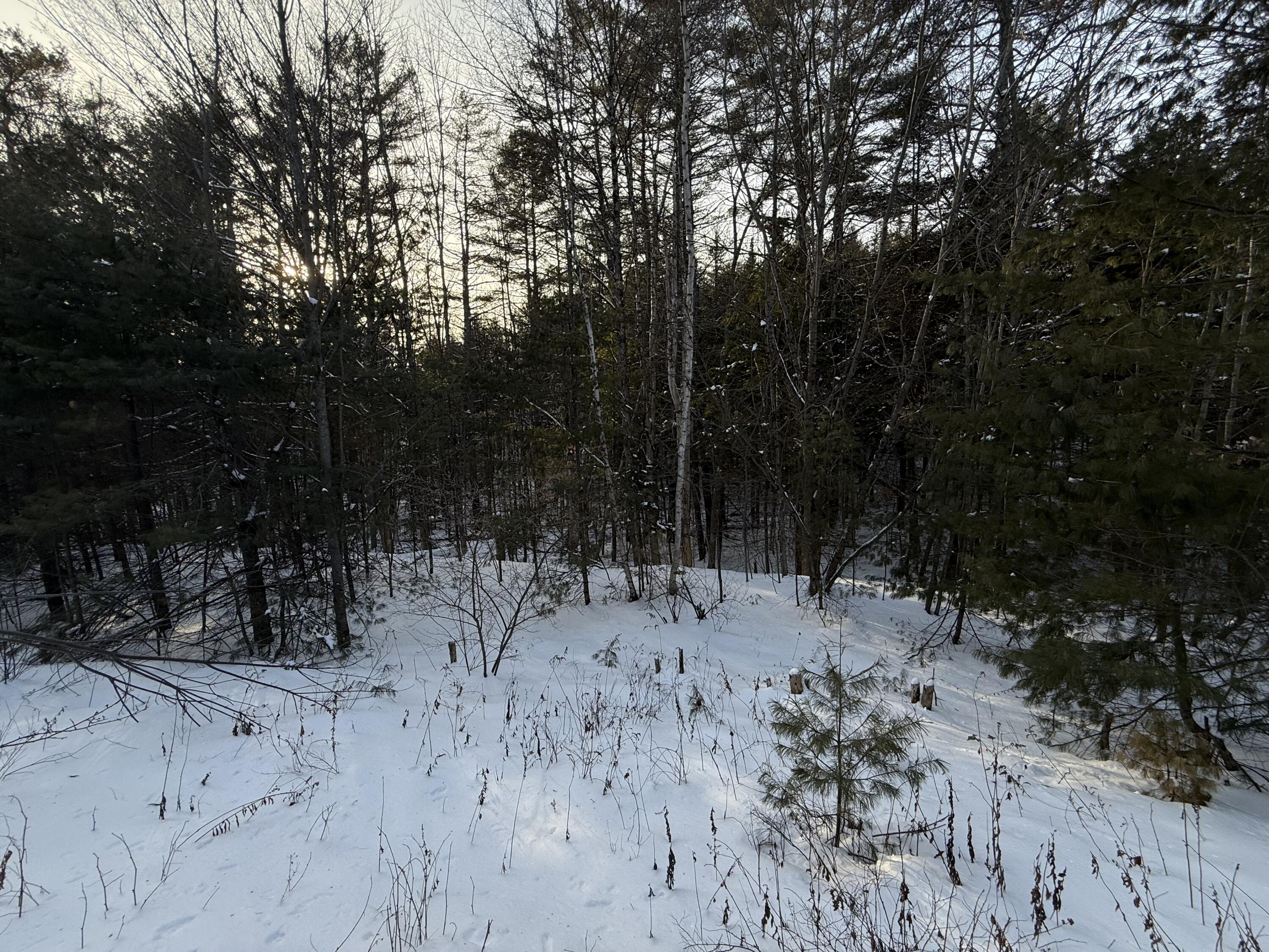 25 Lake School Road Jay, ME 04239 - Photo 14 of 17 IMG_8842(1)