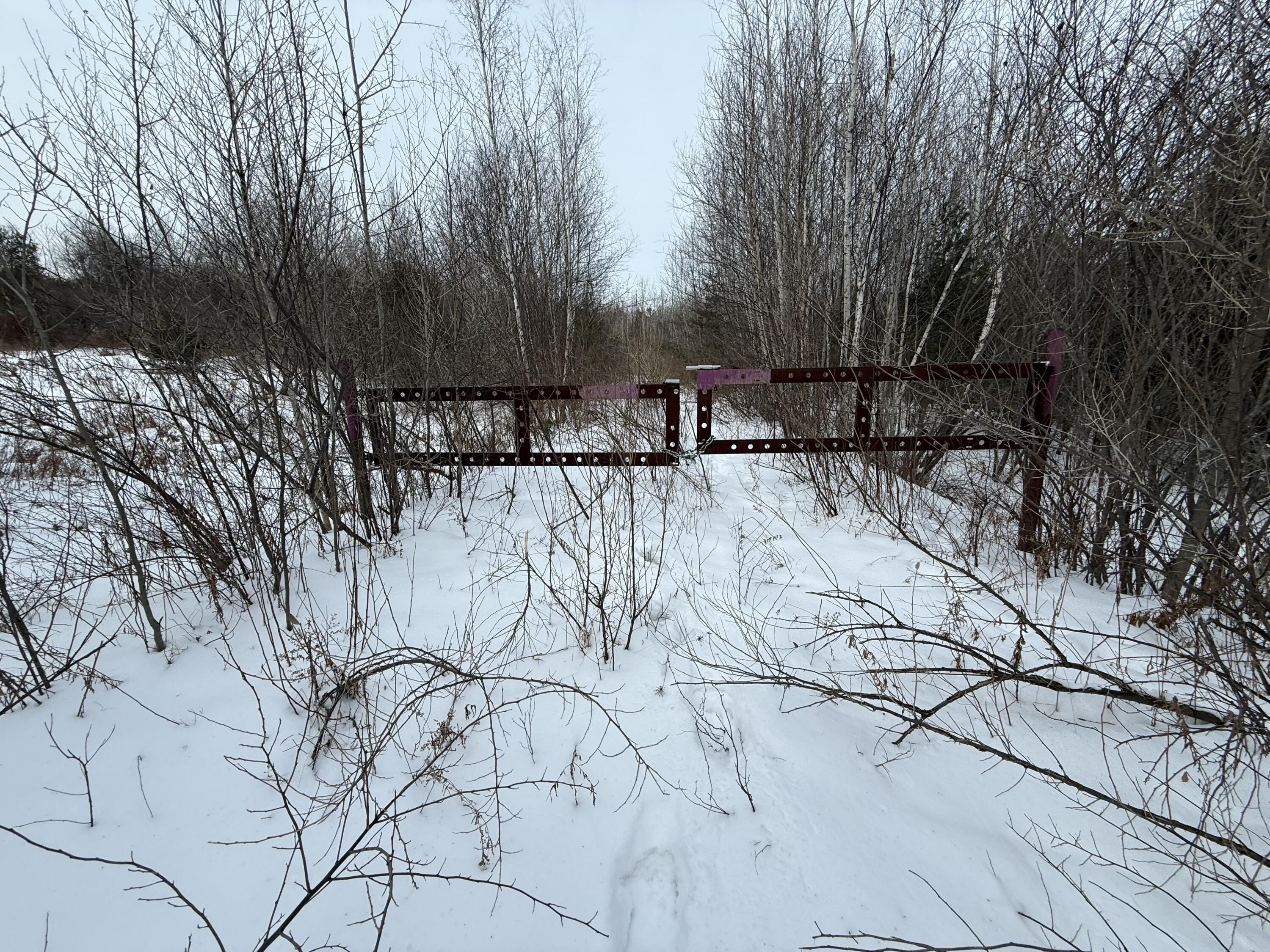 25 Lake School Road Jay, ME 04239 - Photo 3 of 17 IMG_8867(2)