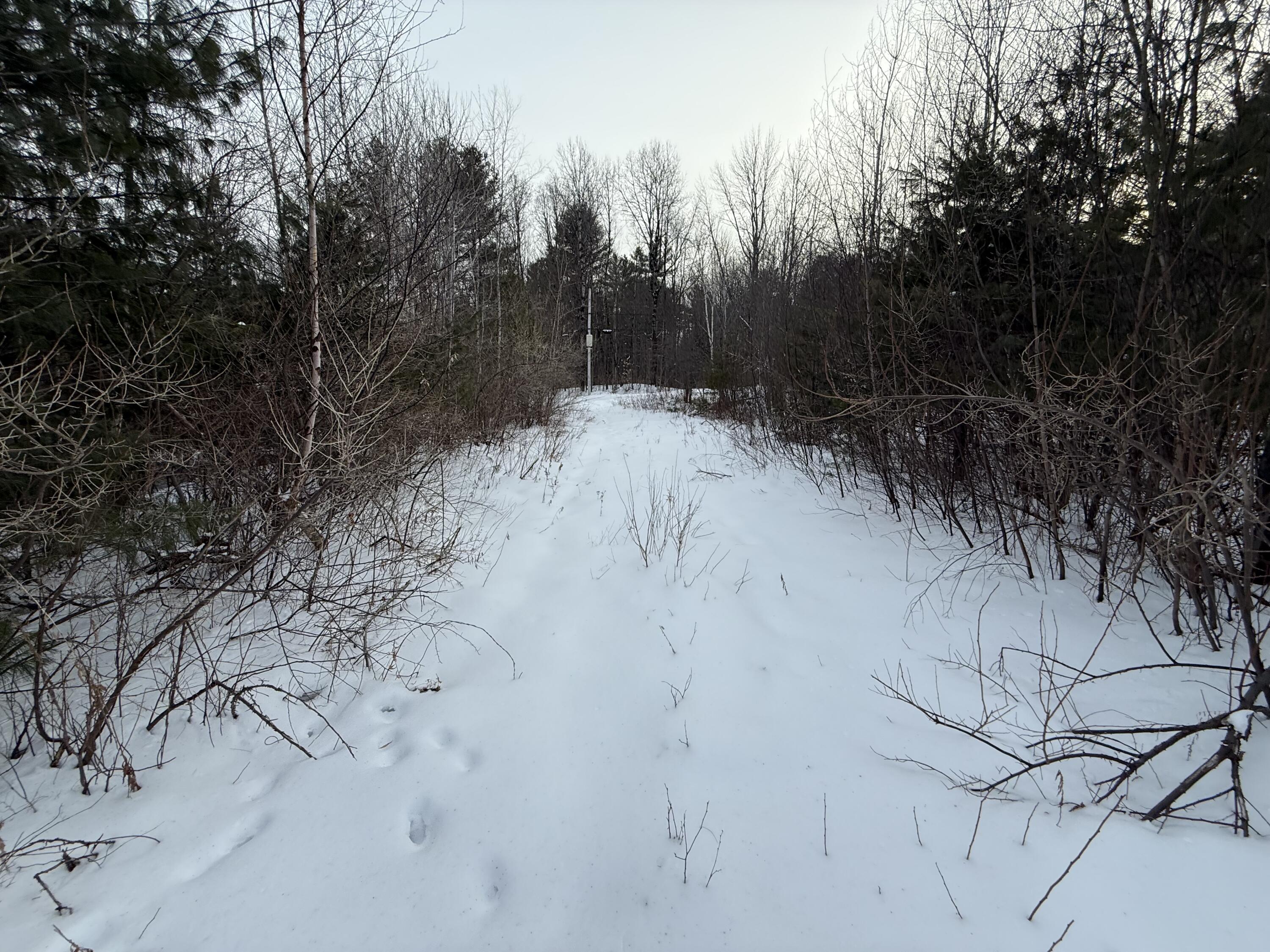 25 Lake School Road Jay, ME 04239 - Photo 4 of 17 IMG_8869