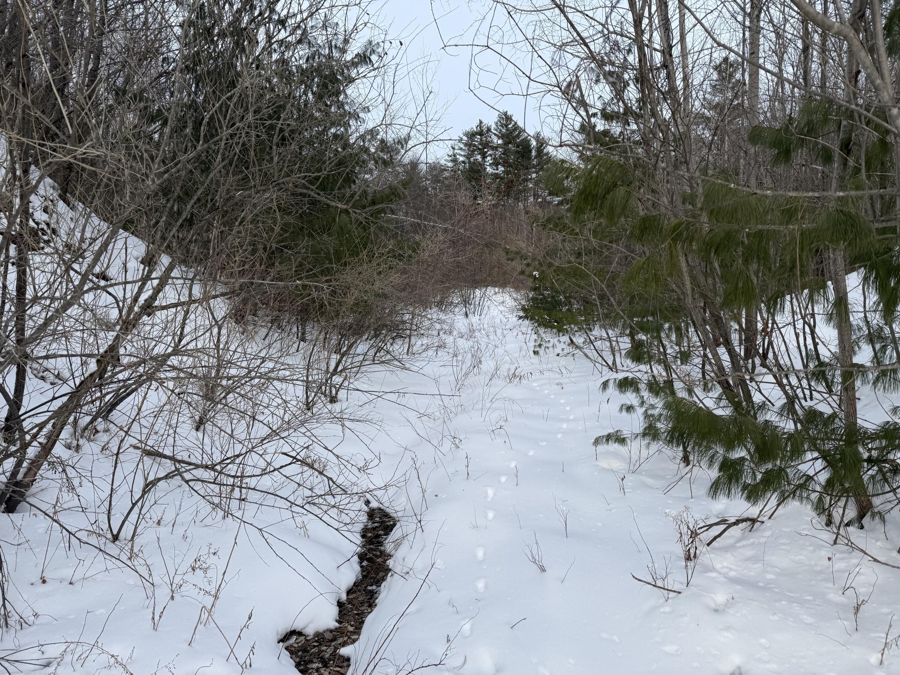 25 Lake School Road Jay, ME 04239 - Photo 5 of 17 IMG_8862(1)