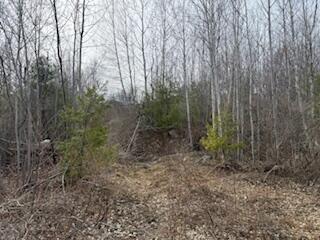 25 Lake School Road Jay, ME 04239 - Photo 6 of 15 IMG_9353