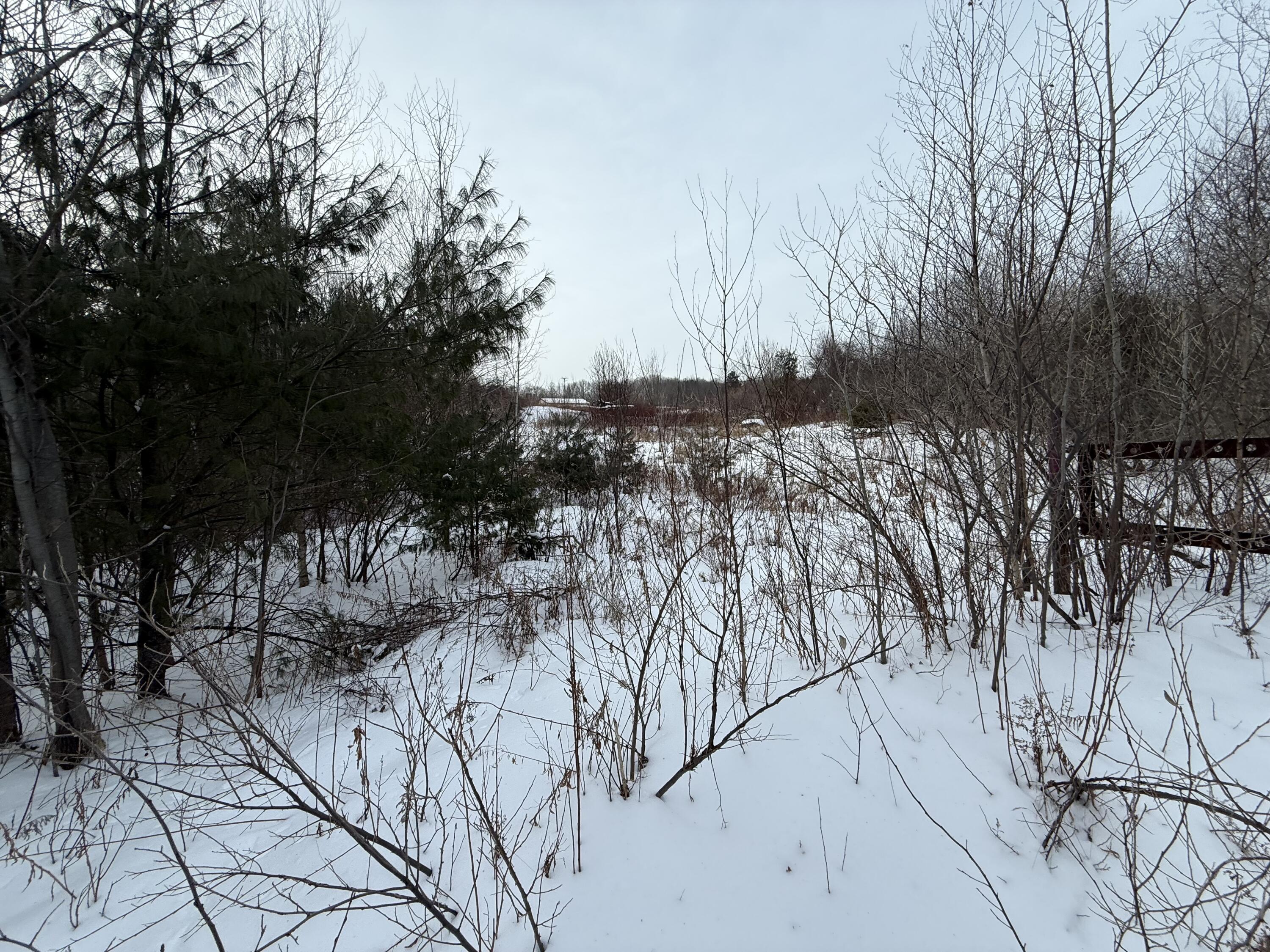 25 Lake School Road Jay, ME 04239 - Photo 7 of 17 IMG_8868