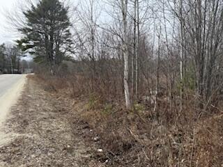 25 Lake School Road Jay, ME 04239 - Photo 8 of 15 IMG_9356