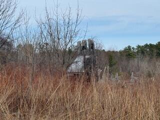 25 Lake School Road Jay, ME 04239 - Photo 9 of 15 IMG_9361