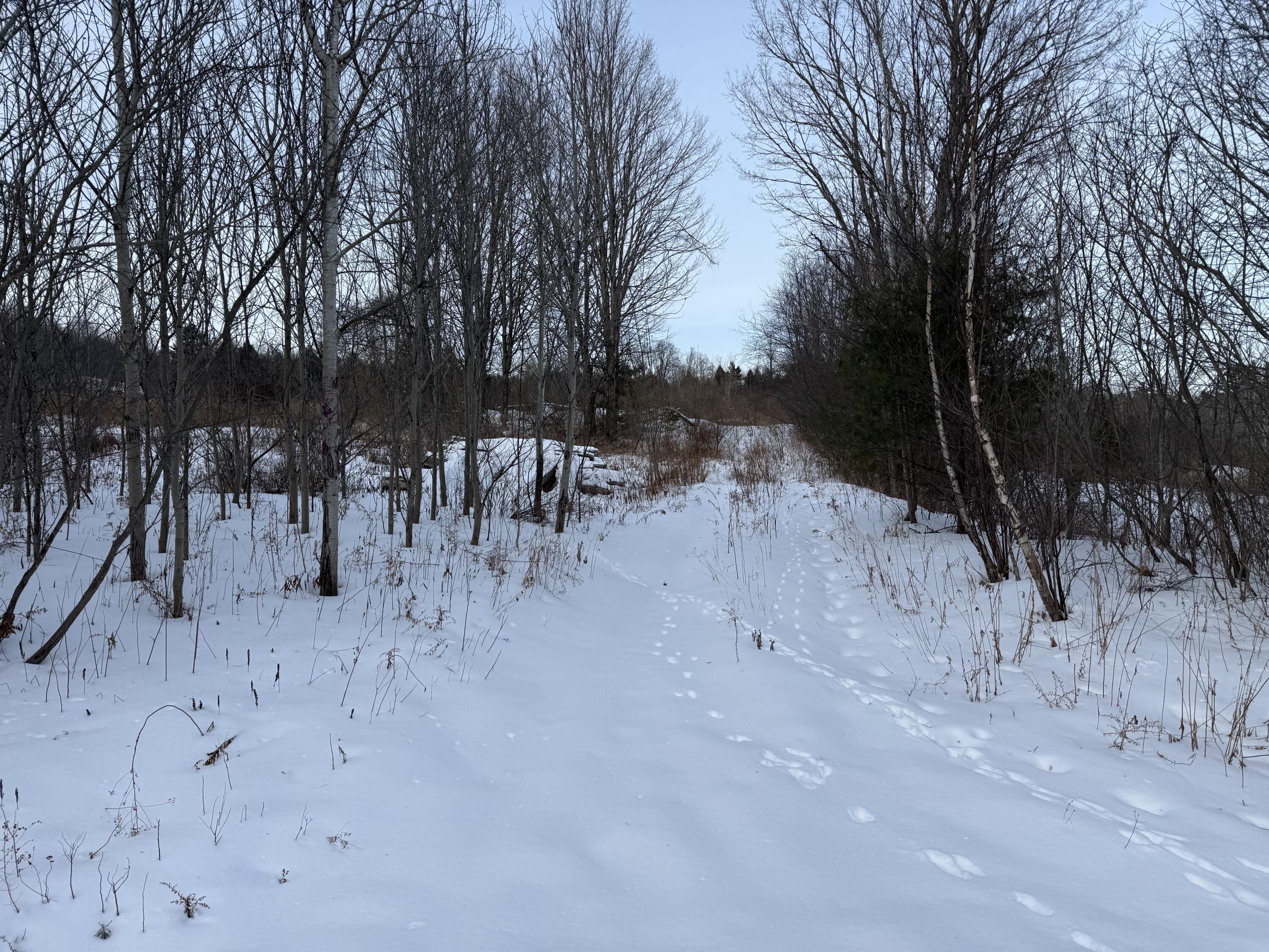 25 Lake School Road Jay, ME 04239 - Photo 9 of 17 IMG_8850