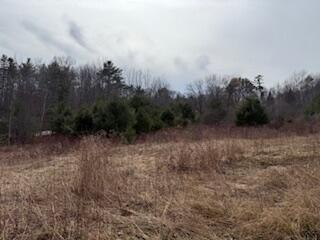 25 Lake School Road Jay, ME 04239 - Photo 10 of 15 IMG_9358