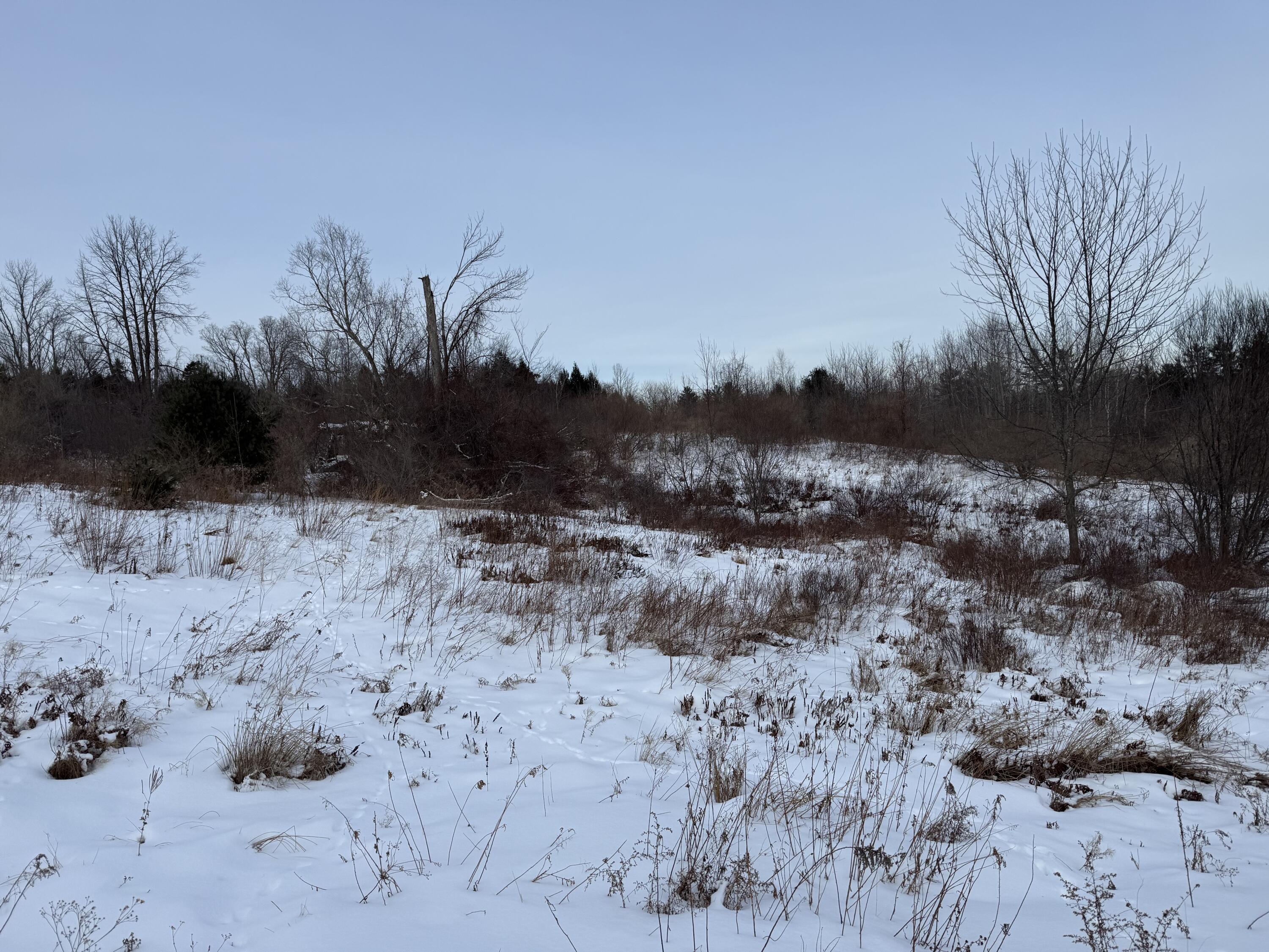 25 Lake School Road Jay, ME 04239 - Photo 10 of 17 IMG_8860