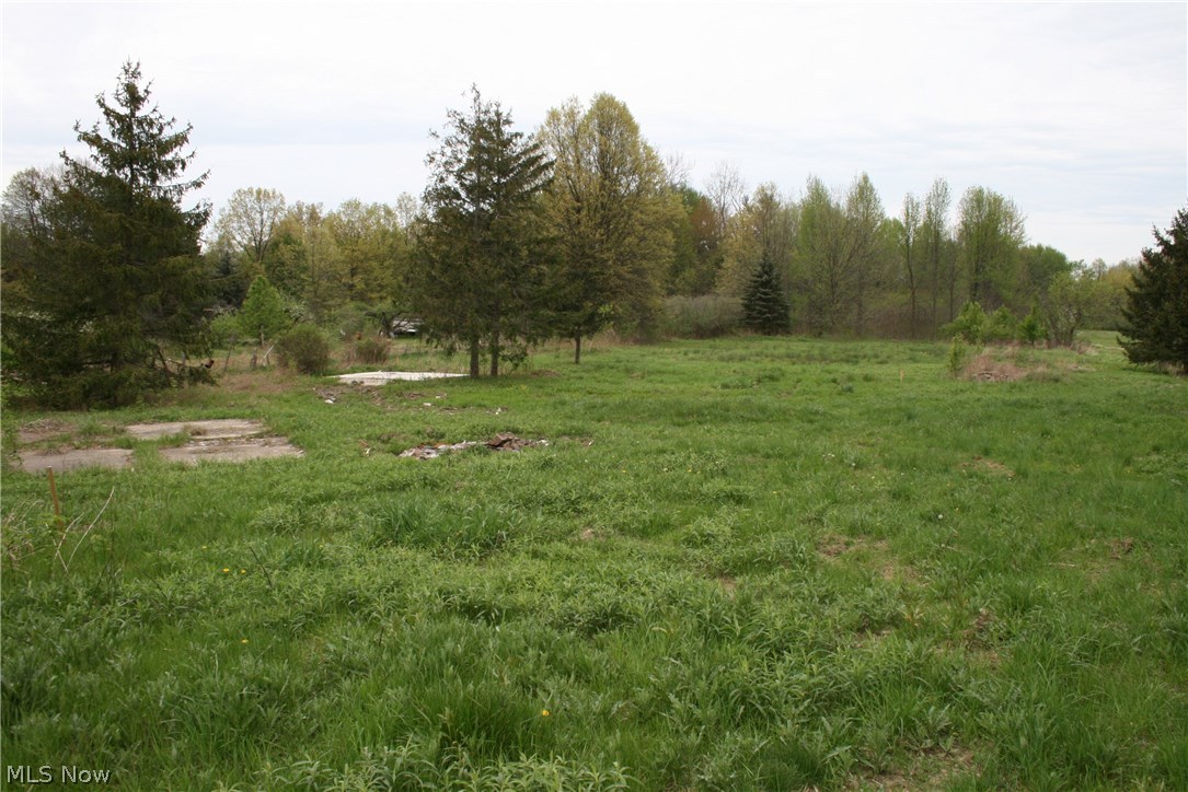 35374 Chestnut Ridge Road North Ridgeville, OH 44039 - Photo 4 of 7