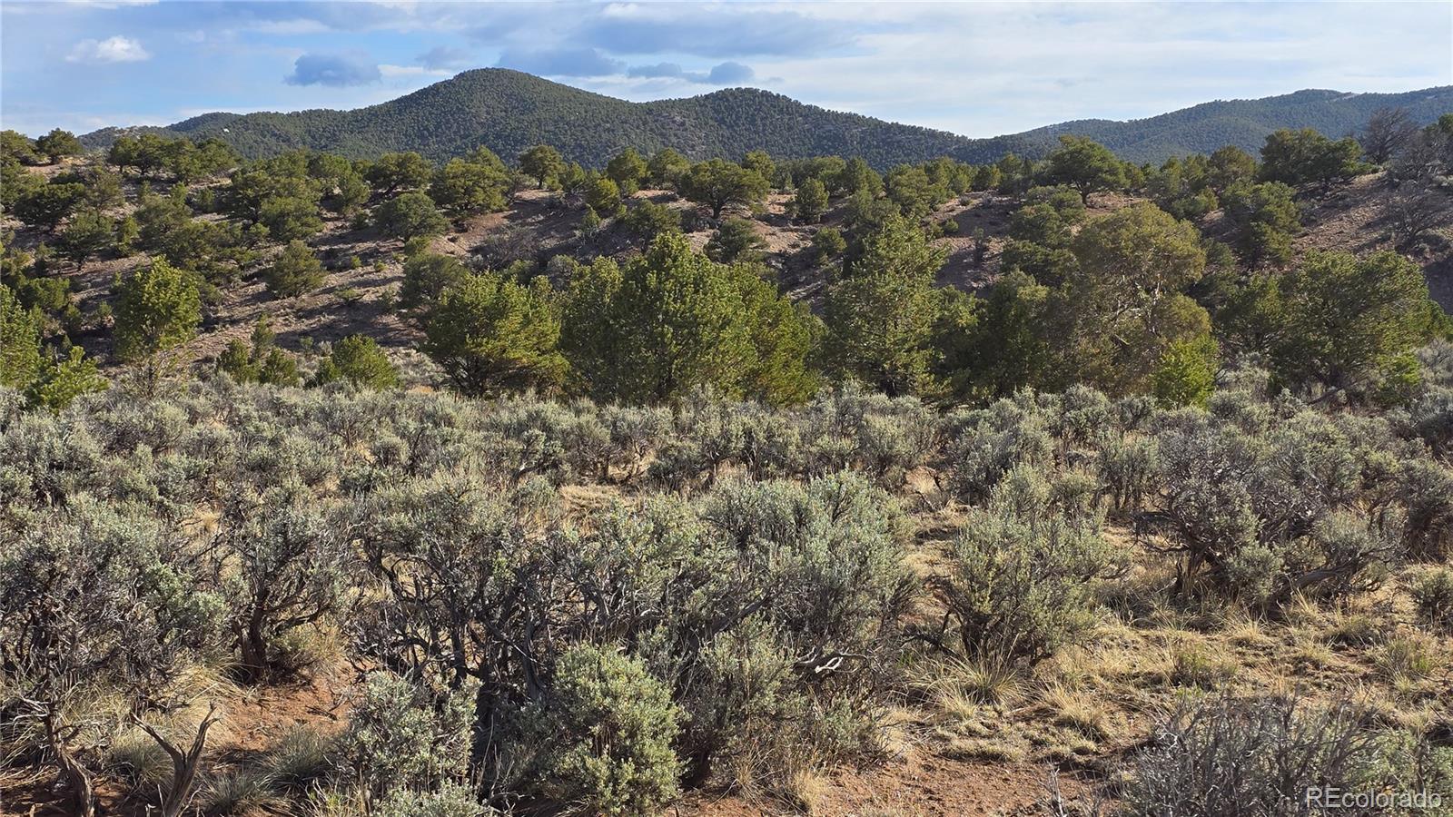 Lot 7340 Sweaney Road Fort Garland, CO 81133 - Photo 4 of 31 Gallery Image 4