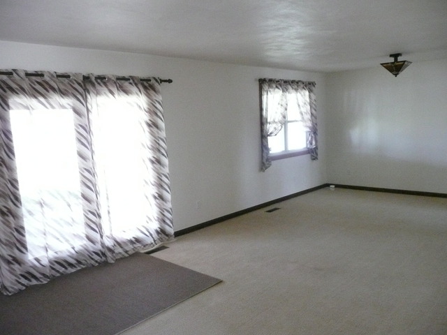 608 2nd Street Donovan, IL 60931 - Photo 3 of 18