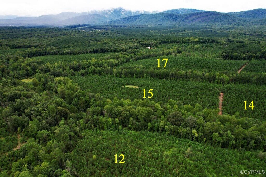 0 Green Creek Road Schuyler, VA 22969 - Photo 2 of 5 a view of a lush green forest with trees and some houses
