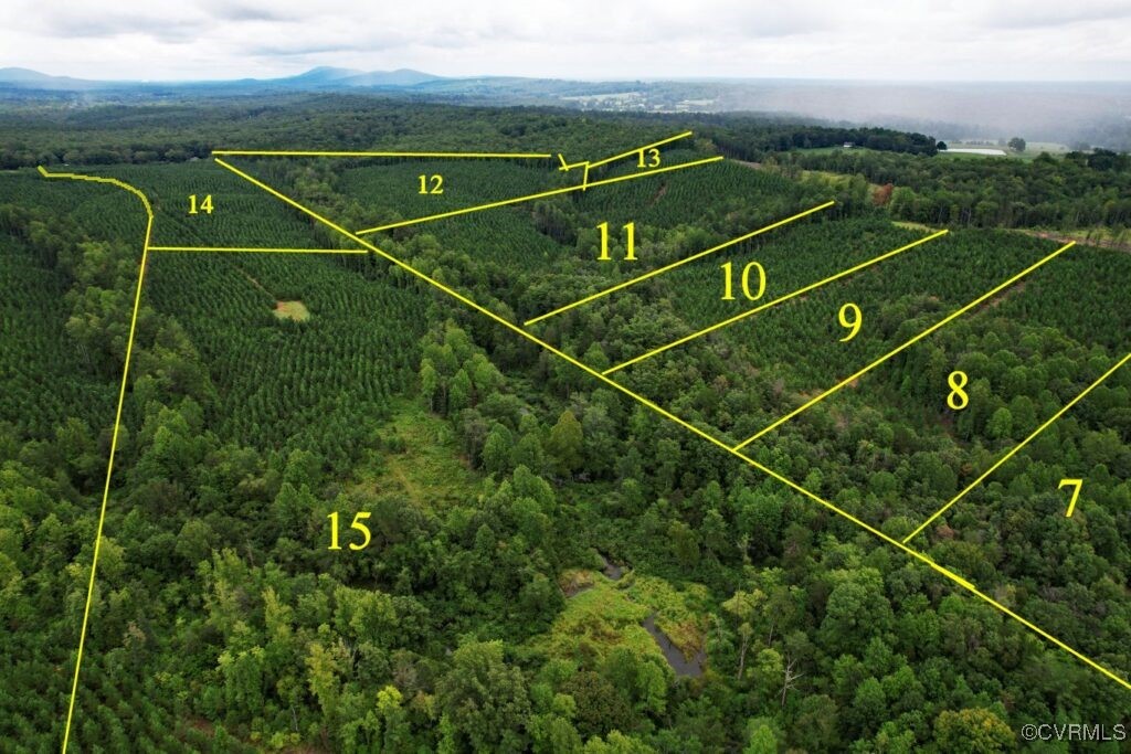 0 Green Creek Road Schuyler, VA 22969 - Photo 5 of 5