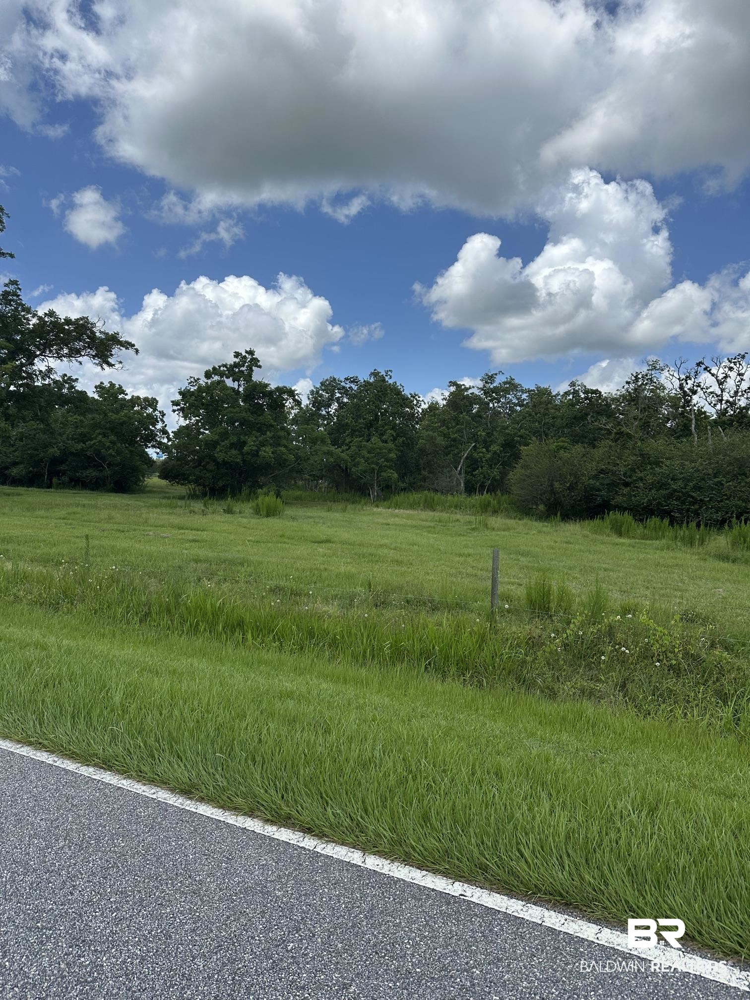 0 West John Bloch Road Elberta, AL 36530 - Photo 3 of 3