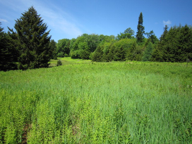 1 Big Moose Road Eagle Bay, NY 13331 - Photo 1 of 1 Gallery Image 1