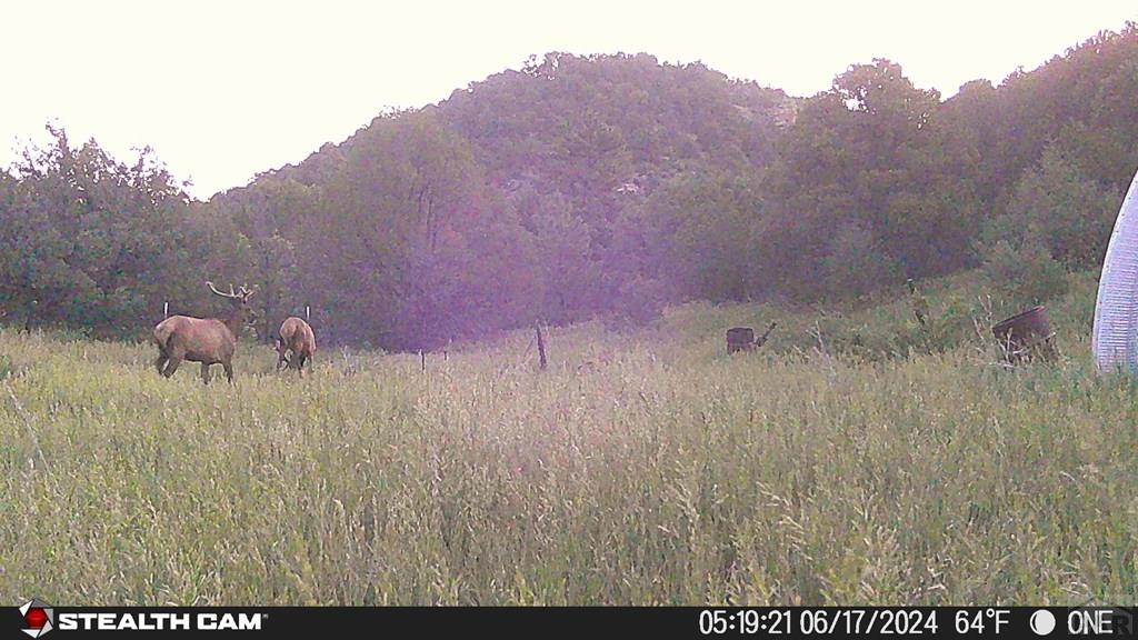 17001 Peacock Road Trinidad, CO 81082 - Photo 53 of 62