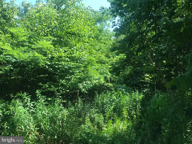 $149,900 | 0 Davis Rd Springs, Salisbury, PA 15558