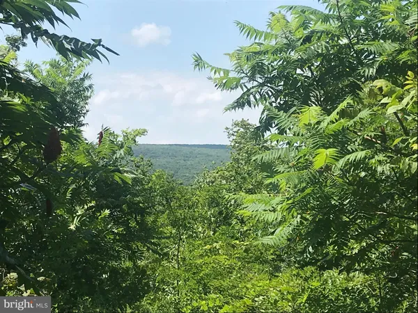 $149,900 | 0 Davis Rd Springs, Salisbury, PA 15558