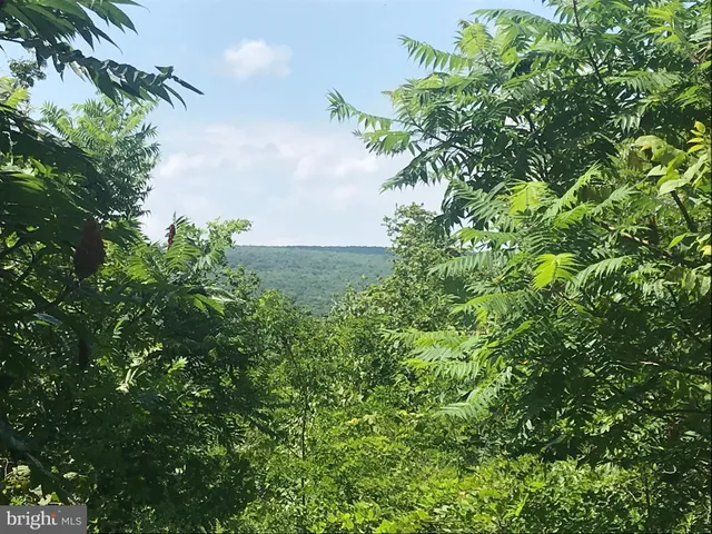 $149,900 | 0 Davis Rd Springs, Salisbury, PA 15558