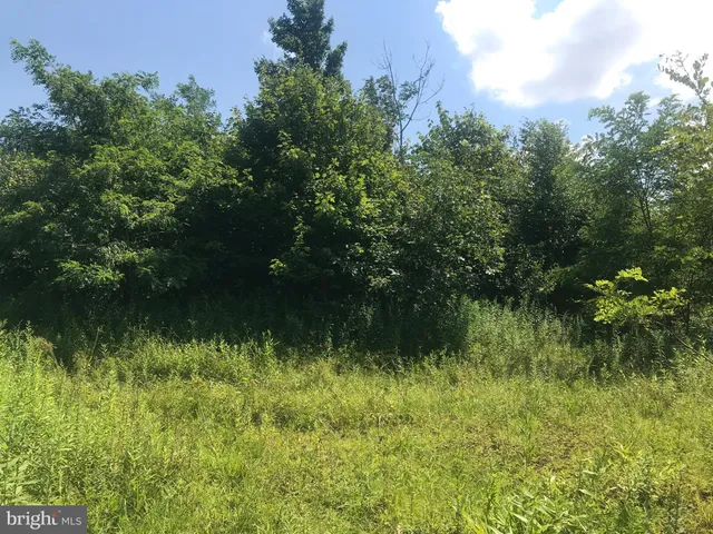 $149,900 | 0 Davis Rd Springs, Salisbury, PA 15558