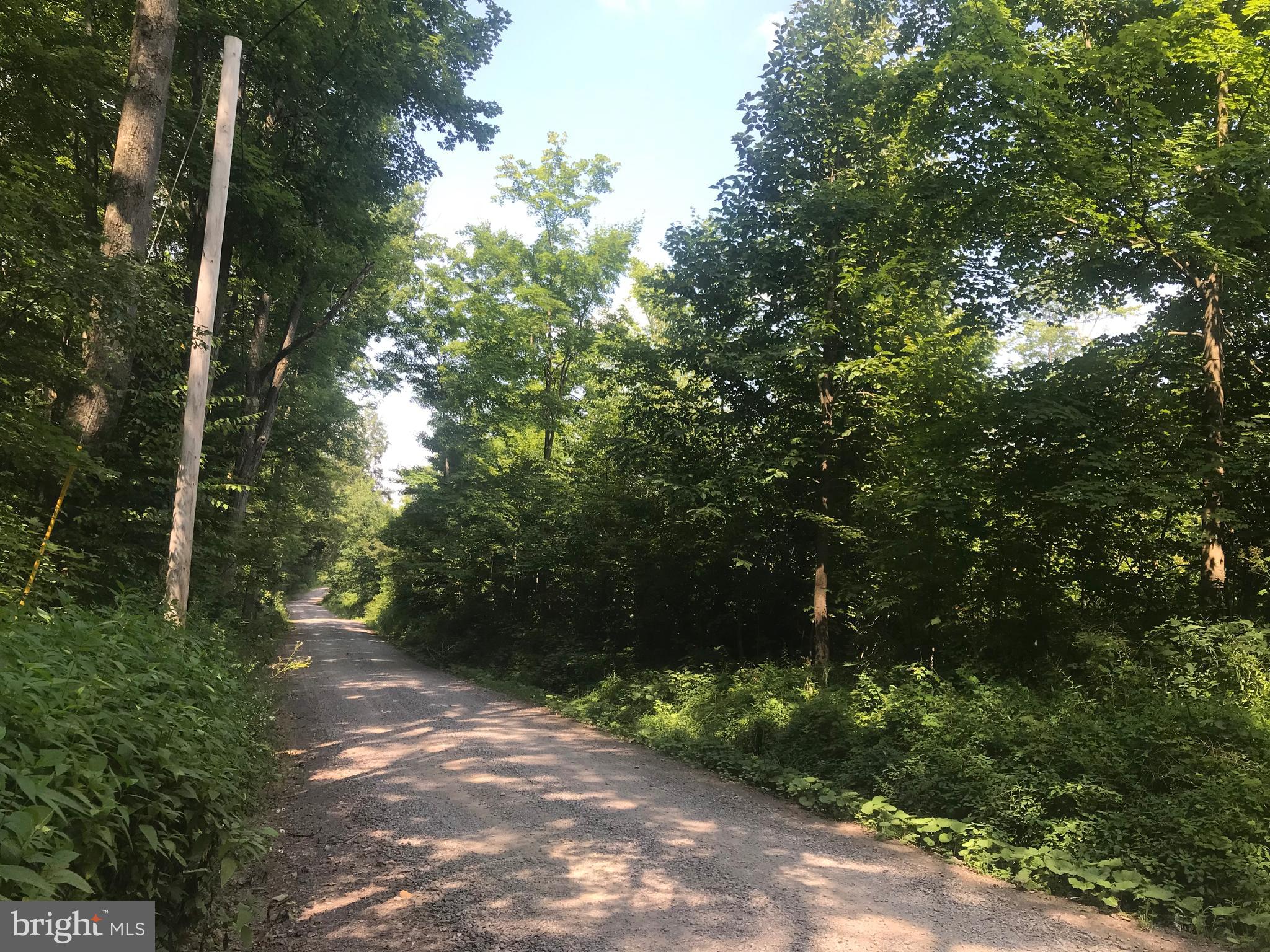 0 Davis Rd Springs Salisbury, PA 15558 - Photo 7 of 7