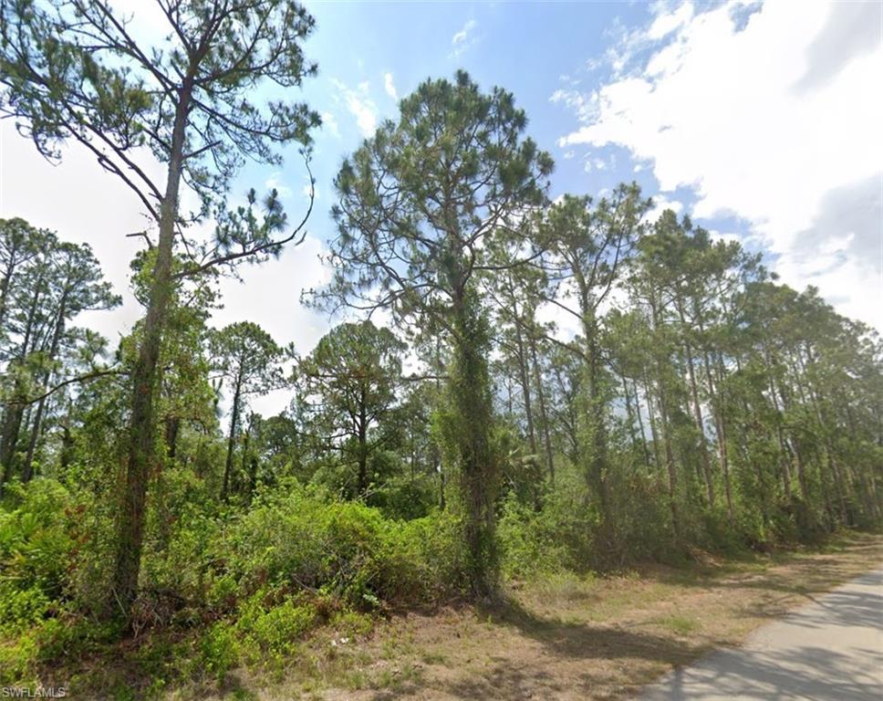 2007 Monroe Avenue Alva, FL 33920 - Photo 1 of 1 a view of a forest with trees