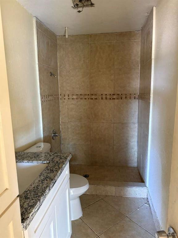 0 Lott Road Donna, TX 78537 - Photo 11 of 15 a bathroom with a granite countertop sink a toilet and shower