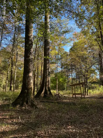 $133,500 | No No Ms-19, Kosciusko, MS 39090