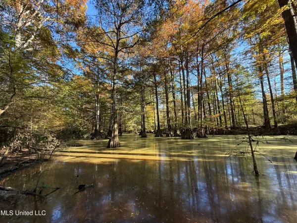 $133,500 | No No Ms-19, Kosciusko, MS 39090