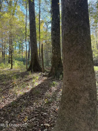 $133,500 | No No Ms-19, Kosciusko, MS 39090