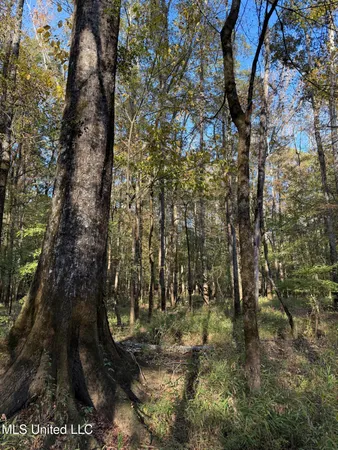 $133,500 | No No Ms-19, Kosciusko, MS 39090