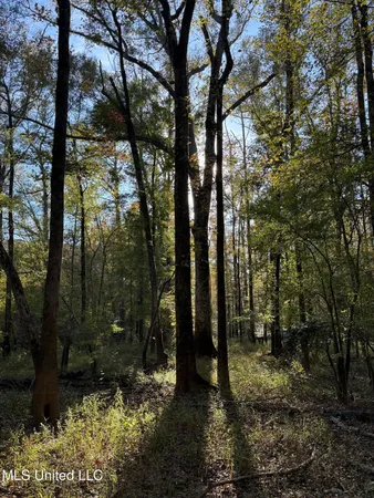 $133,500 | No No Ms-19, Kosciusko, MS 39090