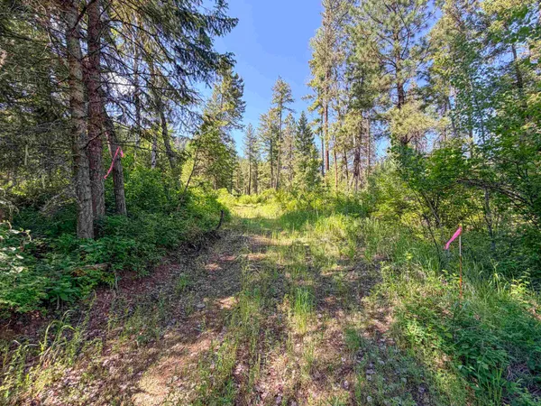$79,900 | 2008-tbd (k) Summit Valley Road, Addy, WA 99101