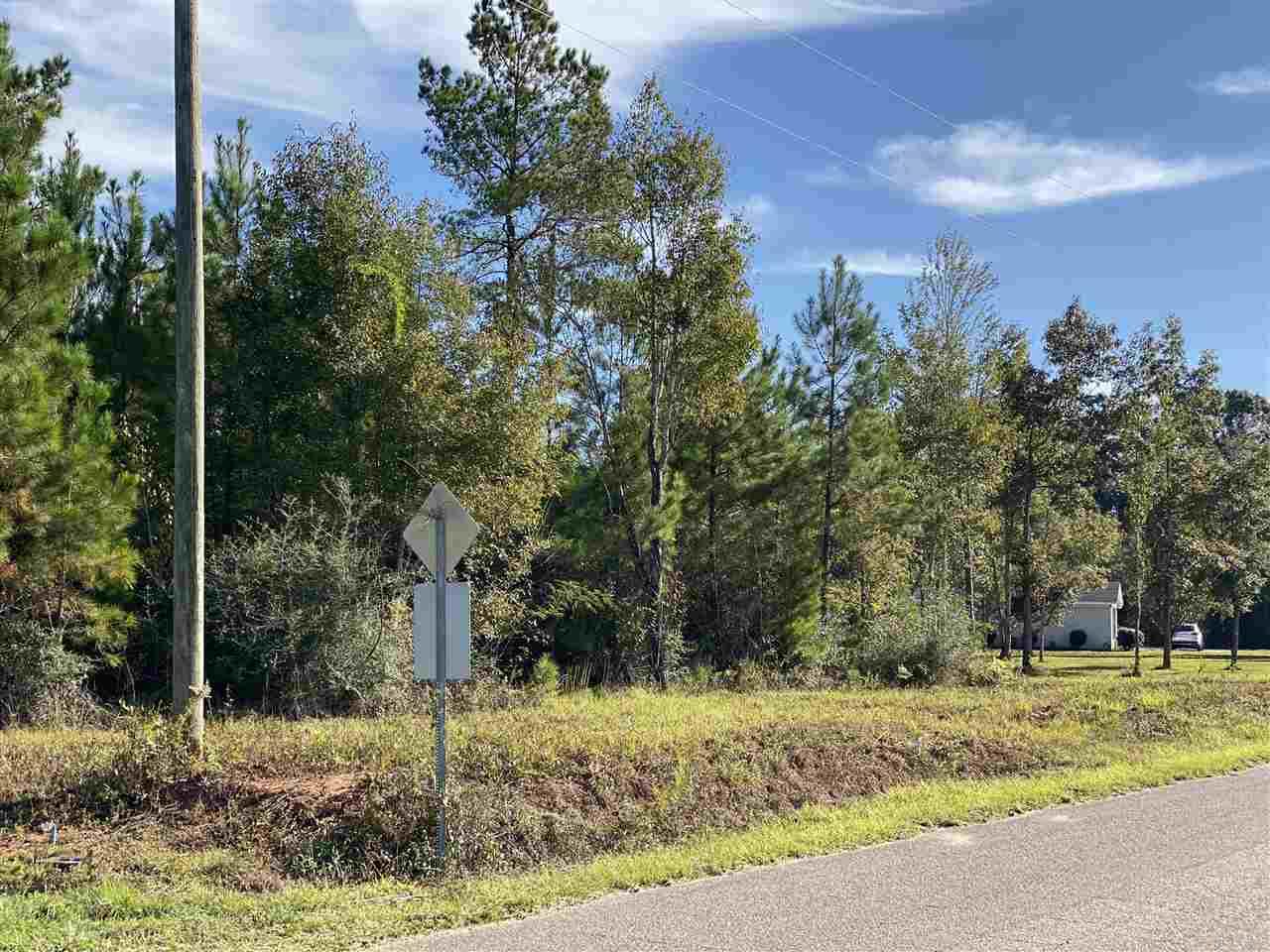 Sid Hayes Road Jay, FL 32565 - Photo 4 of 6 Gallery Image 4