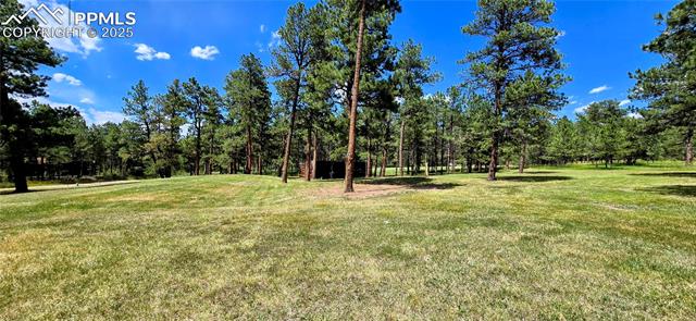 11785 Milam Road Colorado Springs, CO 80908 - Photo 8 of 44 View of grassy yard