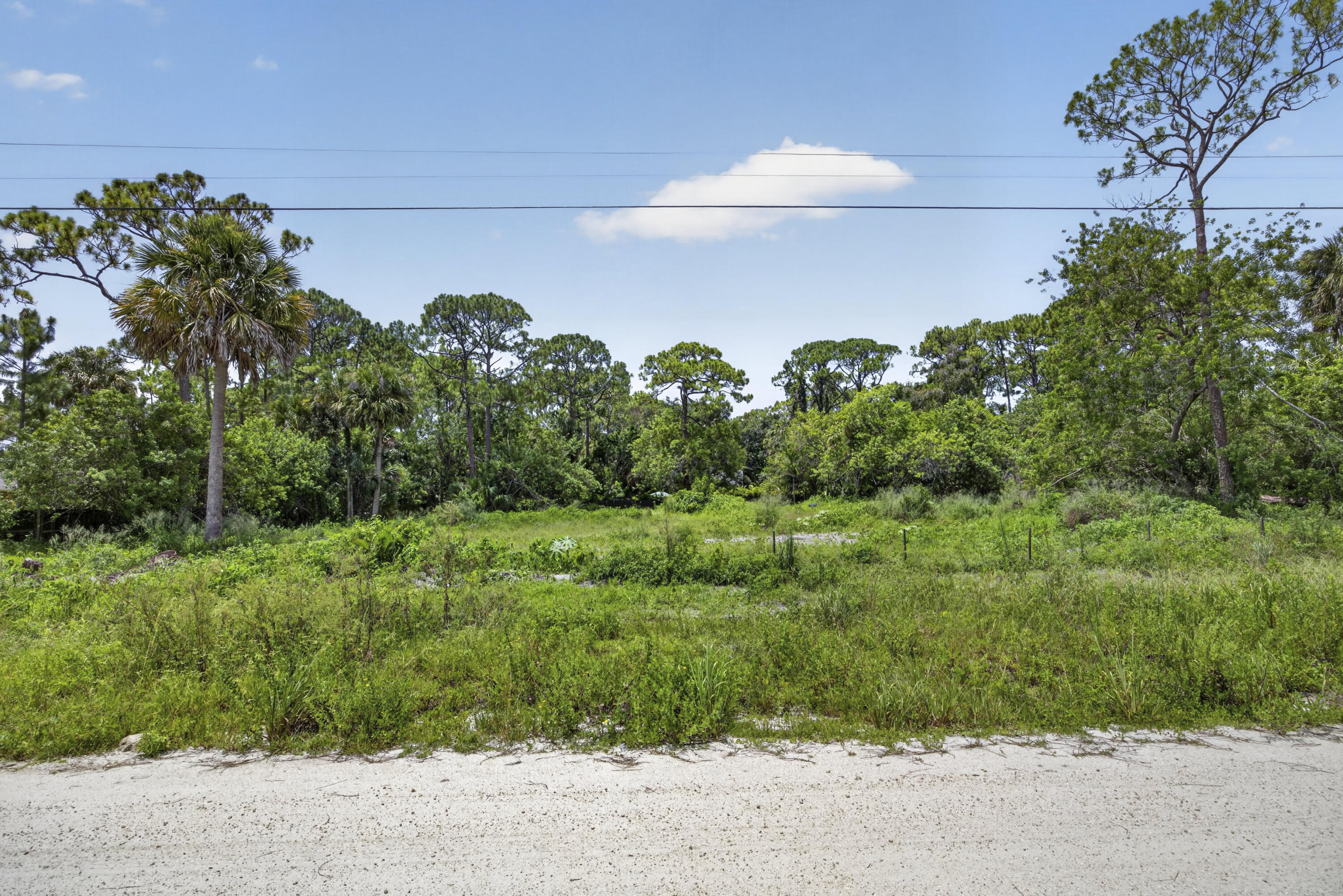 17072 93rd Road North The Acreage, FL 33470 - Photo 14 of 22 BS1A9384