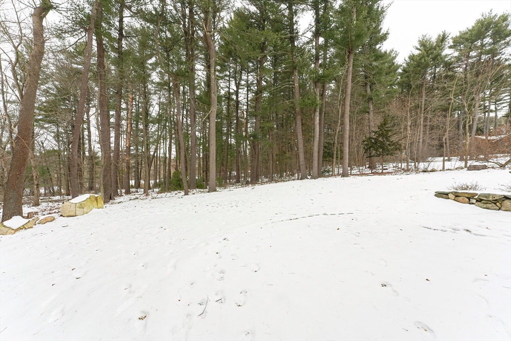 20 Wilson Road Bedford, MA 01730 - Photo 37 of 39 Gallery Image 37