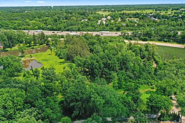 a view of a garden from a window