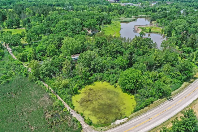 a view of a yard with a tree