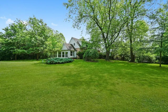 a view of a park with large trees