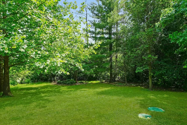 a view of green field with trees in the background