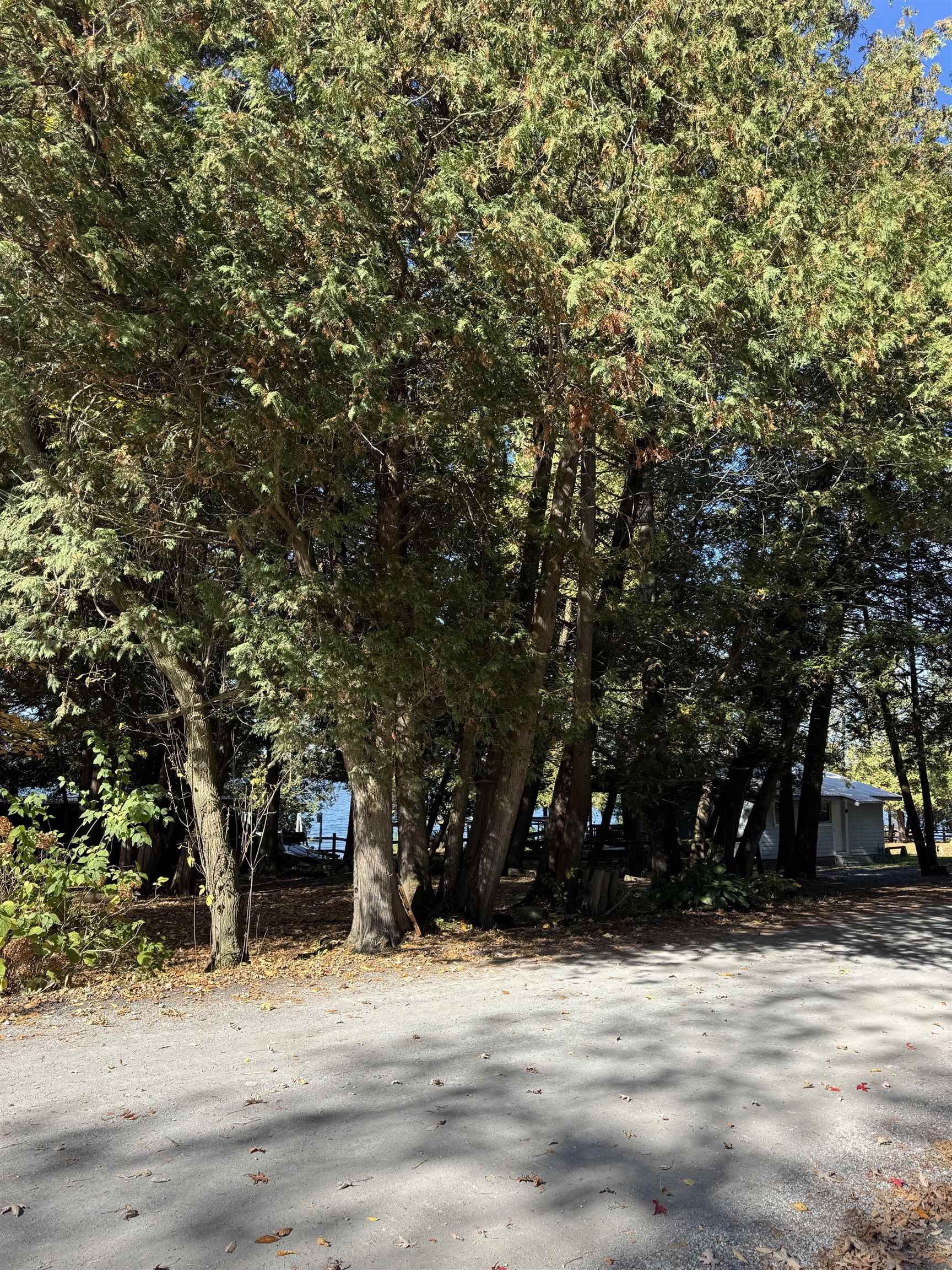 35 Hammond Shore Road Franklin, VT 05457 - Photo 22 of 24