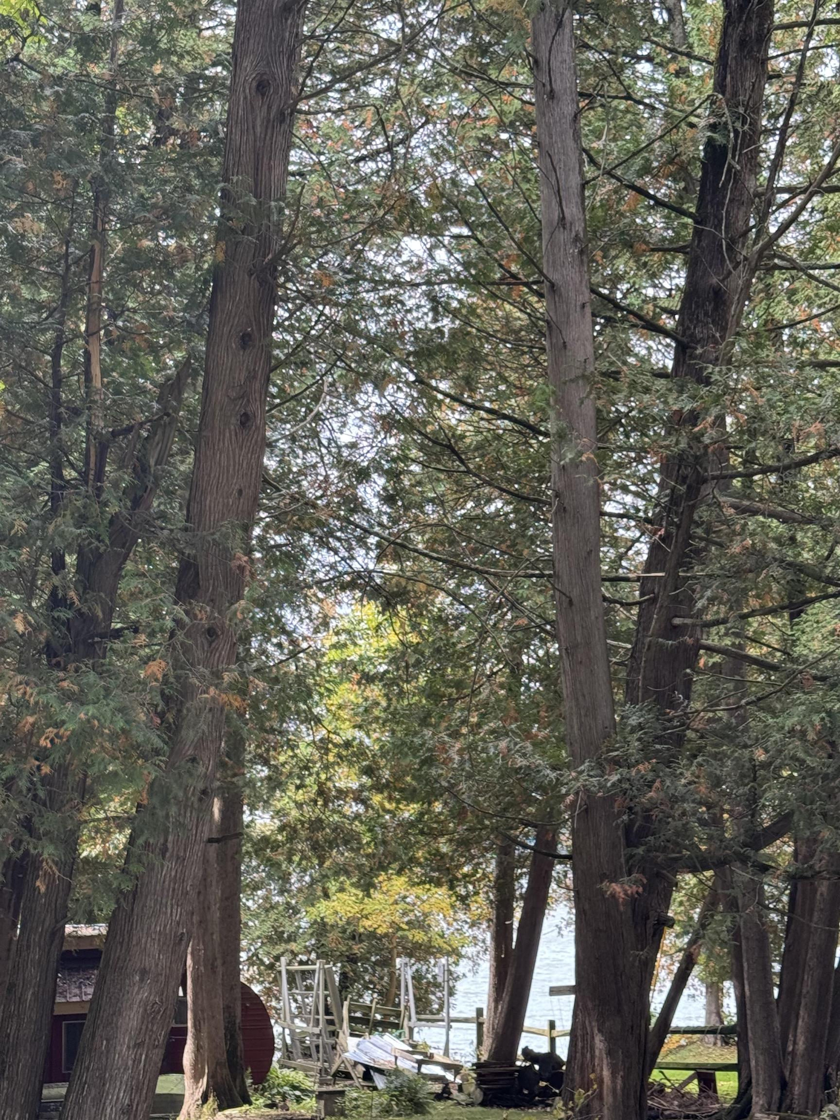 35 Hammond Shore Road Franklin, VT 05457 - Photo 5 of 24