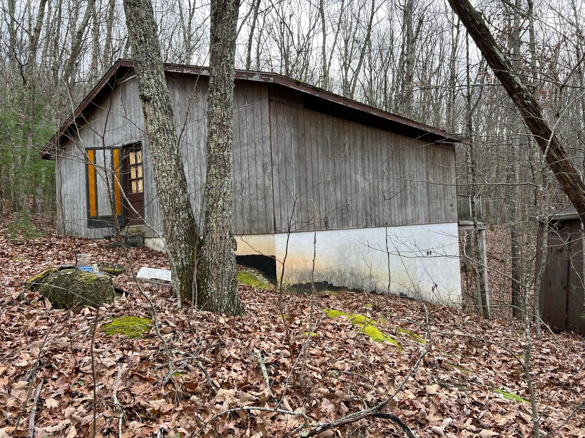 Wildcat Hill Road Gap Mills, WV 24941 - Photo 5 of 37 Gallery Image 5