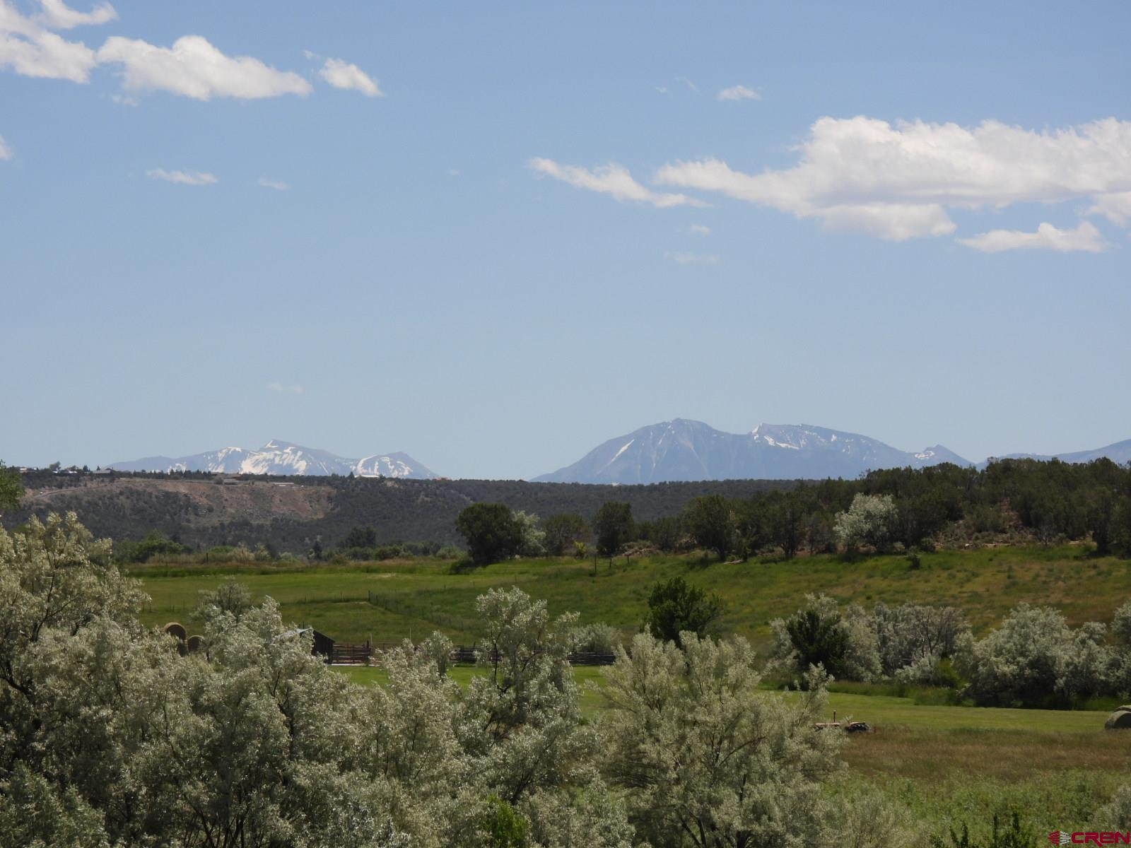 21764 R Road Cedaredge, CO 81413 - Photo 27 of 27 an aerial view of houses covered in trees