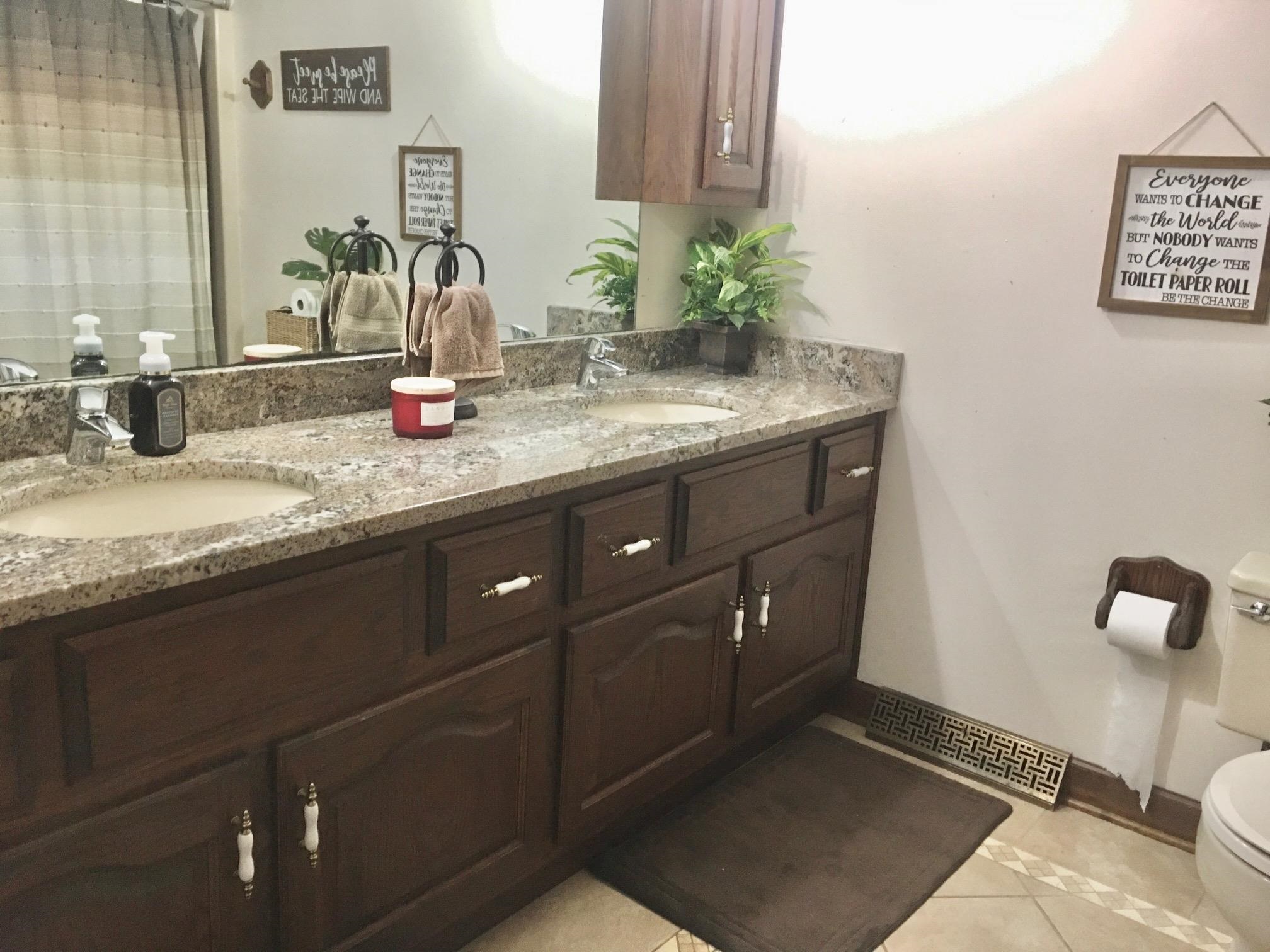 256 Spring Creek Road Rockford, IL 61114 - Photo 18 of 29 a bathroom with a granite countertop sink and a mirror